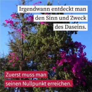 Irgendwann entdeckt man den Sinn und Zweck des Daseins