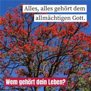 Alles, alles gehört dem allmächtigen Gott