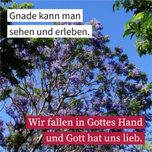 Gnade kann man sehen und erleben